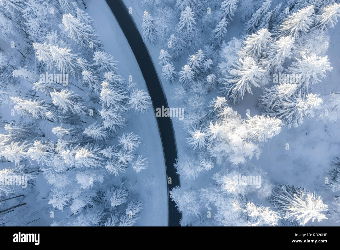 Vista aérea de un sinuoso camino a través de los árboles cubiertos de nieve, Gaisberg, Salzburgo, Austria Foto de stock