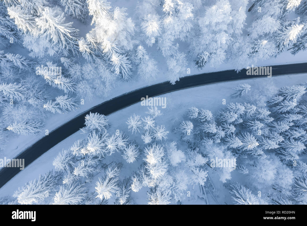 Vista aérea de un sinuoso camino a través de los árboles cubiertos de nieve, Gaisberg, Salzburgo, Austria Foto de stock
