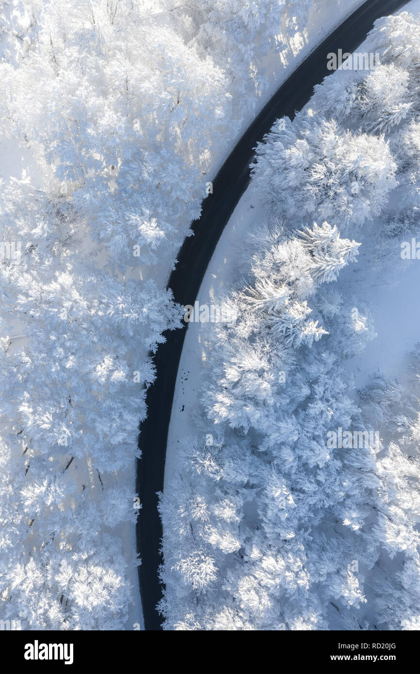 Vista aérea de un sinuoso camino a través de los árboles cubiertos de nieve, Gaisberg, Salzburgo, Austria Foto de stock