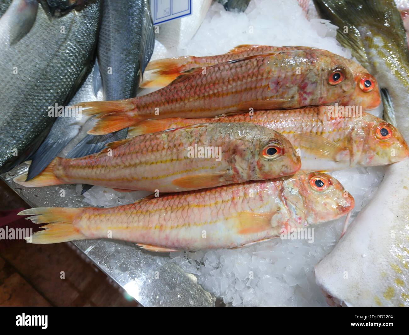 Fischmarkt en Portugal Foto de stock