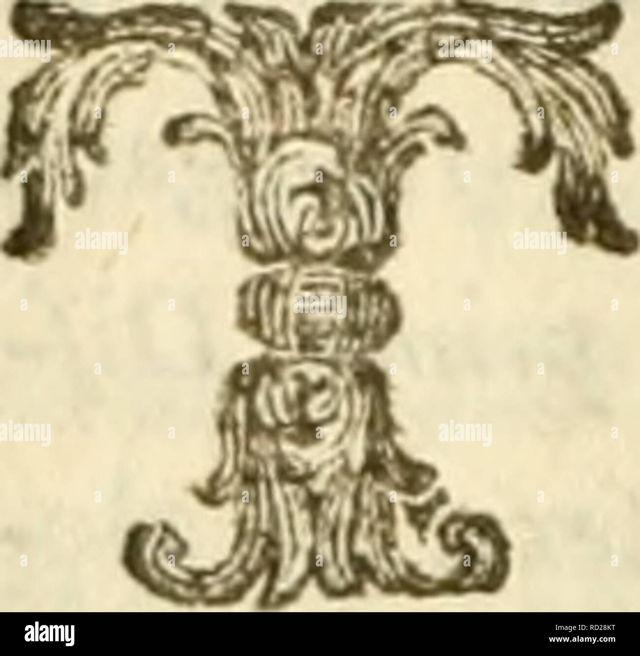 . De' fenomeni della circolazione osservata nel giro universale de' VASI; de' fenomeni della circolazione languente; de' moti del sangue independenti dall' azione del cuore; e delle arterie pulsar Supr. Sangre. SEZIONE TERZA. Calid effetti is producam nel Sangue, forato, oh RECISO QUALCHE VASO DELL' AnIMALE. ESPERIENZA XLII. [Urti i vafi mefenterici menavano fangue, quan- do ne forai uà arteriofo. Recuerdo nacque Sul- ro debido oppofte correnti, V anu del fangue tra T eftremità de'vafi, e la ferita, il quale retroce- dette, raltra del lingue Tra il cuore, e la ftefTa ferita, il quale profeguì, o PIU Foto de stock