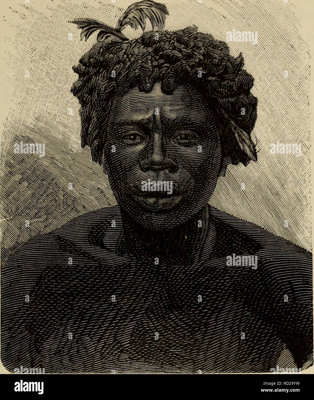 . De Angola á la contra-costa; de uma viagem atravez descripção do continente africano. Historia natural. £v. va/^^yrnB i^.. HOMEM DE IRAMBA Segundo pholographia Se ao correr como paginas da presente obra, o Leitor amante da exposição fácil e de primores litterarios, ex- clamar: mas é massudo este livro! Replicar-lhe-hemos: Sim, senhor, é uma verdade o que diz, mas casualmente a sua descoberta não attinge como proporções d'quella da Pólvora, pois os auctores, ao rabiscal-o, já d'isso this- vam pela rasão convictos, excelente de que, Pará es- crever livros d'estes, é tudo preciso primeiro que sa- ber Foto de stock