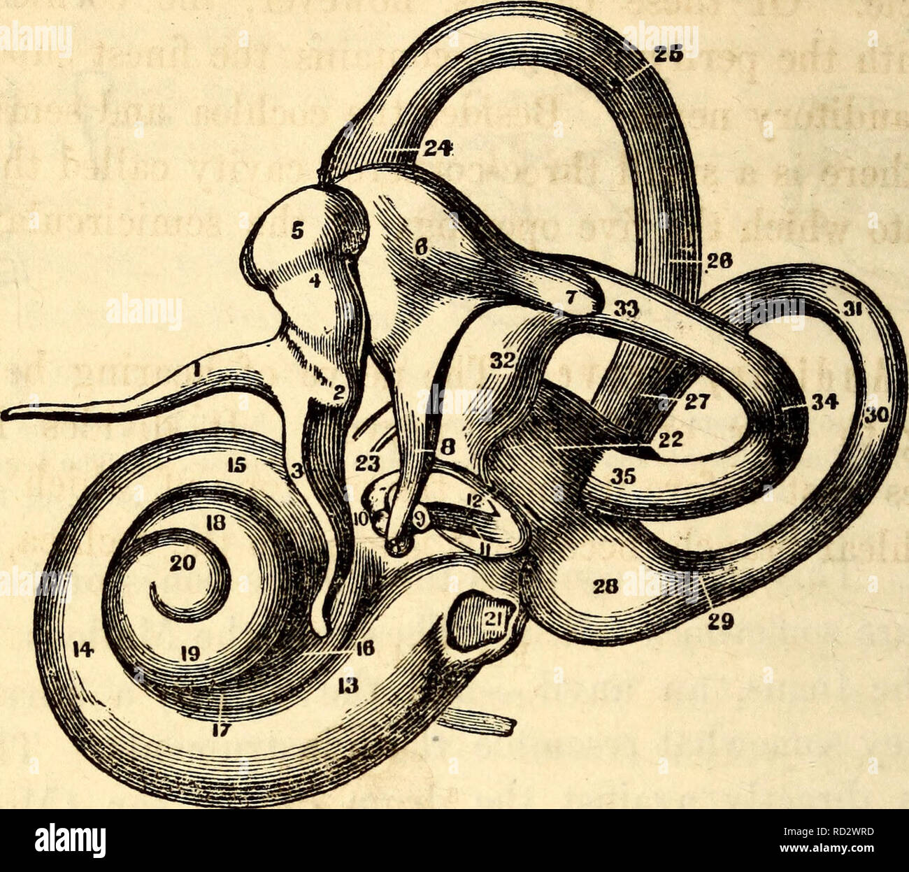 anatom-a-y-fisiolog-a-elemental-para-colegios-academias-y-otras