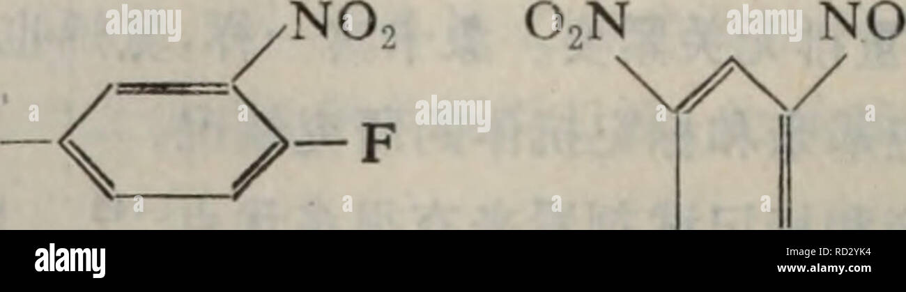 Dan Bai Zhi Zi Fen Ji Chu Botanica E ºa A Aºe Ae Aºeºc Ni N 1i 3 Ae E Aº Aºe ºa C Aºeae Aºeº Ni N 1i 2 Ae E Aºi Aºe ºa Aºe Ae Aºeº e Ca Ae E C Ycooh Nh2 A Lt A Ii 1 0 C Na Lt N Na Lt Q Yan C 0 R Oacar Acaor