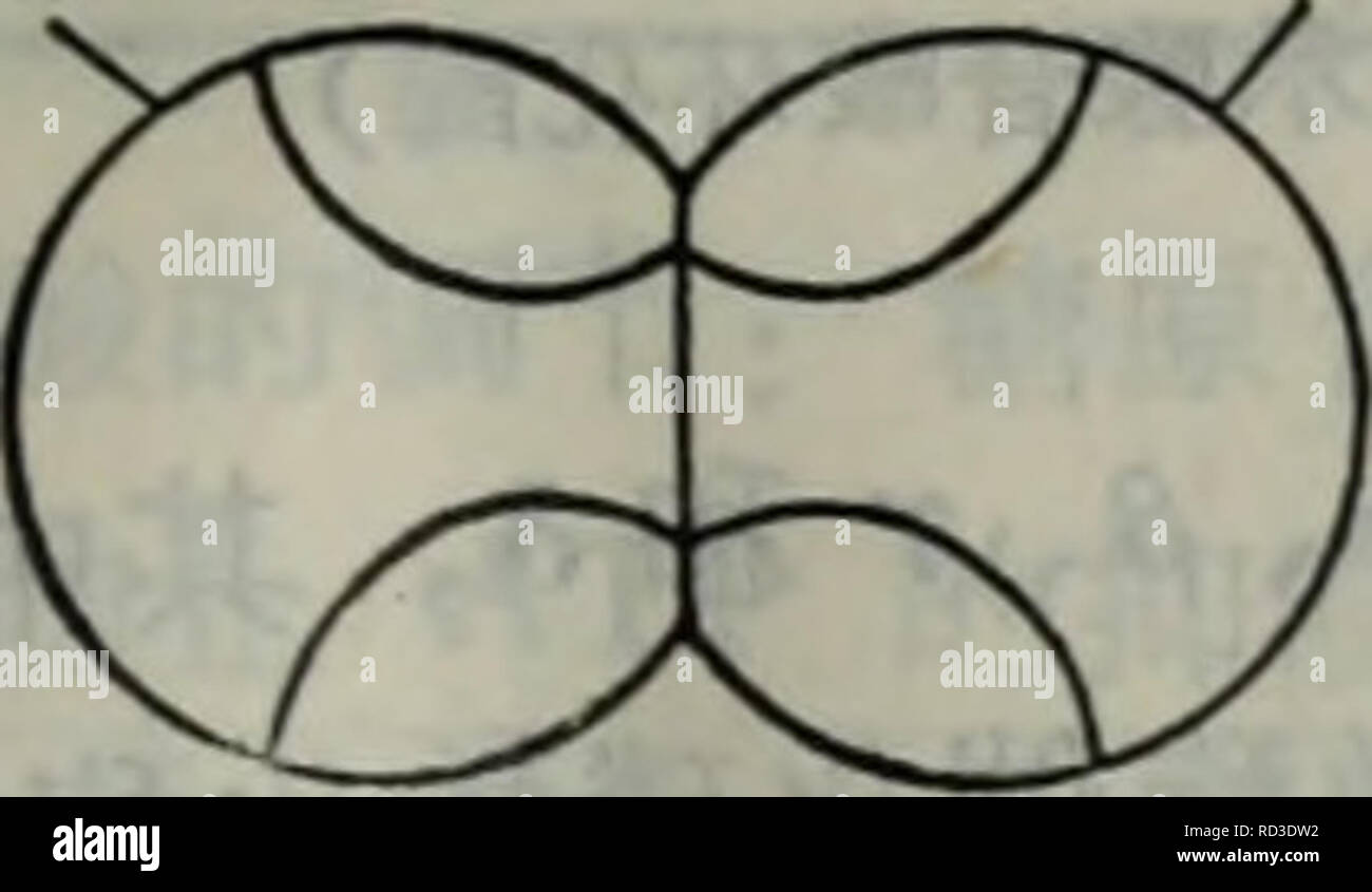 Dai Dai Tang Xie Xie Ji Qi Tiao Kong Yu El Suan Dai Xie Botanica 5 Amp Camp C E Aºfilk H2o Sk F C F C Ec Ae Bt Ae Ae