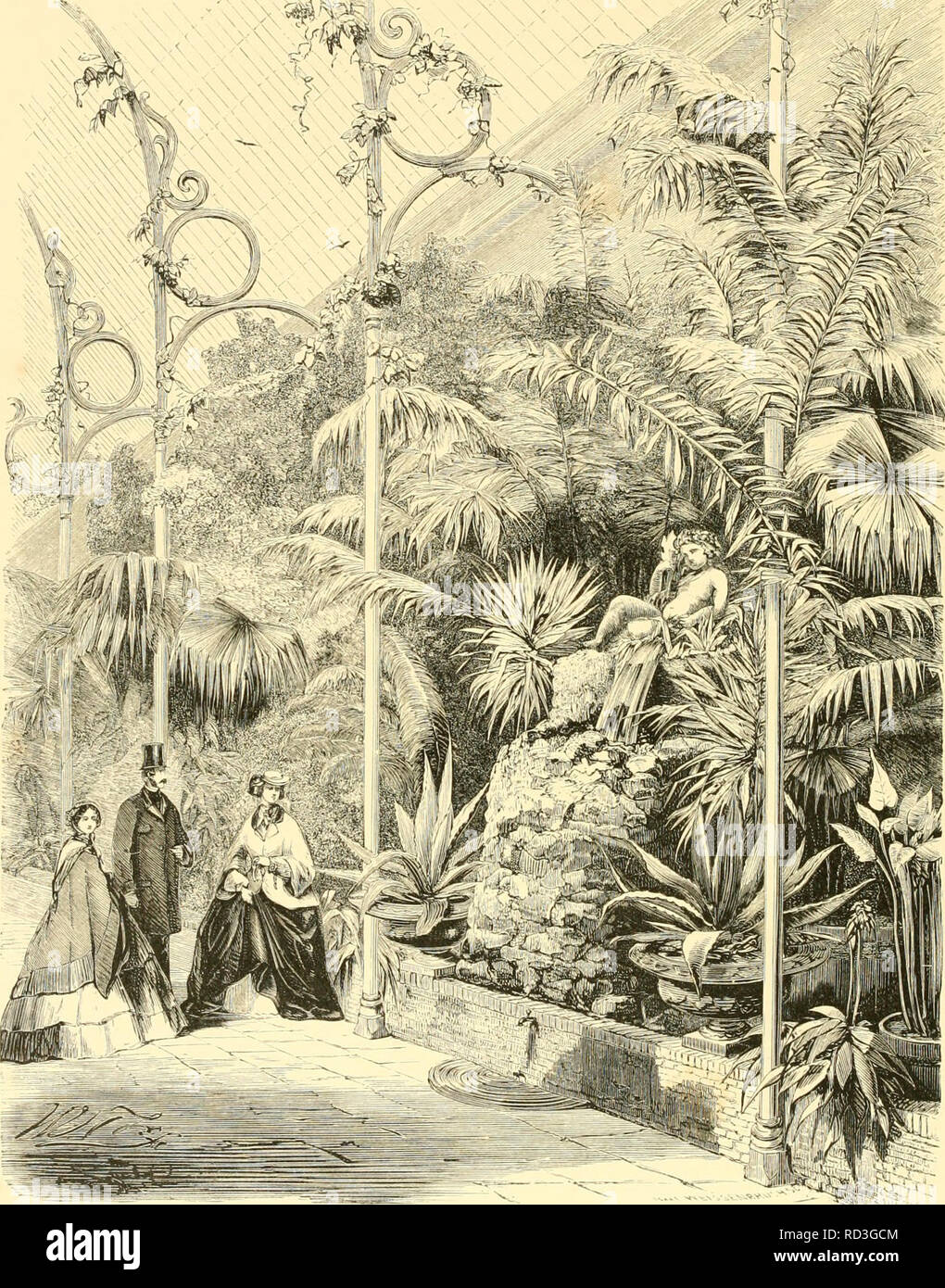 . De Dierentuin van het Koninklijk Zoologisch Genootschap Natura Artis Magistra te Amsterdam. Los parques zoológicos; aves. ^ ^ ;^^^^i:. DE WINTERTU EN.. Por favor tenga en cuenta que estas imágenes son extraídas de la página escaneada imágenes que podrían haber sido mejoradas digitalmente para mejorar la legibilidad, la coloración y el aspecto de estas ilustraciones pueden no parecerse perfectamente a la obra original. Schlegel, H. (Hermann), 1804-1884; Witkamp, Pieter Harme, 1816-1892; es, Gerard W. H. van. Amsterdam : Van Es. Foto de stock