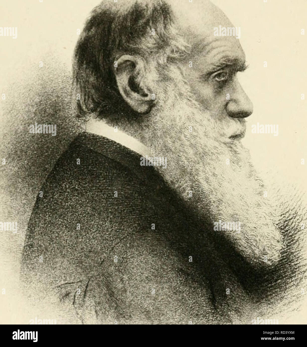 Darwin Y Despues De Darwin Una Exposicion De La Teoria Darwiniana Y Una Discusion De Preguntas