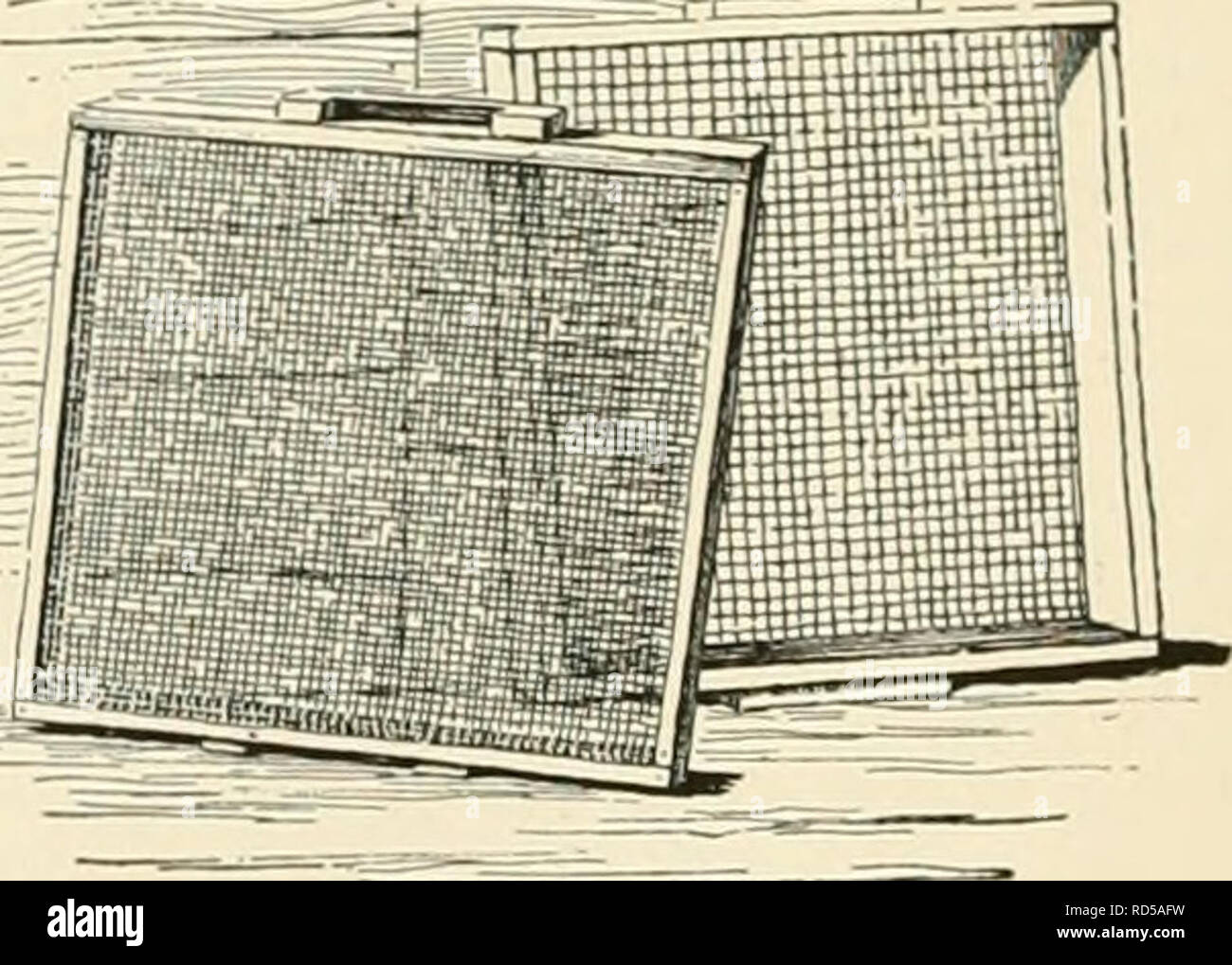 . Cyclopedia of American horticultura, compuesto de sugerencias para el cultivo de plantas hortícolas, las descripciones de las especies de frutas, hortalizas, flores y plantas ornamentales vendidos en los Estados Unidos y Canadá, junto con los Esbozos Biográficos y geográficos. Jardinería. 1676 de las propiedades físicas del suelo en el suministro de agua, y los valores comerciales de muchos suelos dependen en gran medida npnn thi c"iiilifion ONP". Este es especialmente el caso cuando Willi til.- .arlv tni.k .ini,^. con el maíz, el trigo y la hierba hiri'N. :IimI -aiiIi ~|h, i;i |,i-..conductos tales como el apio, cranliii 11' - Foto de stock