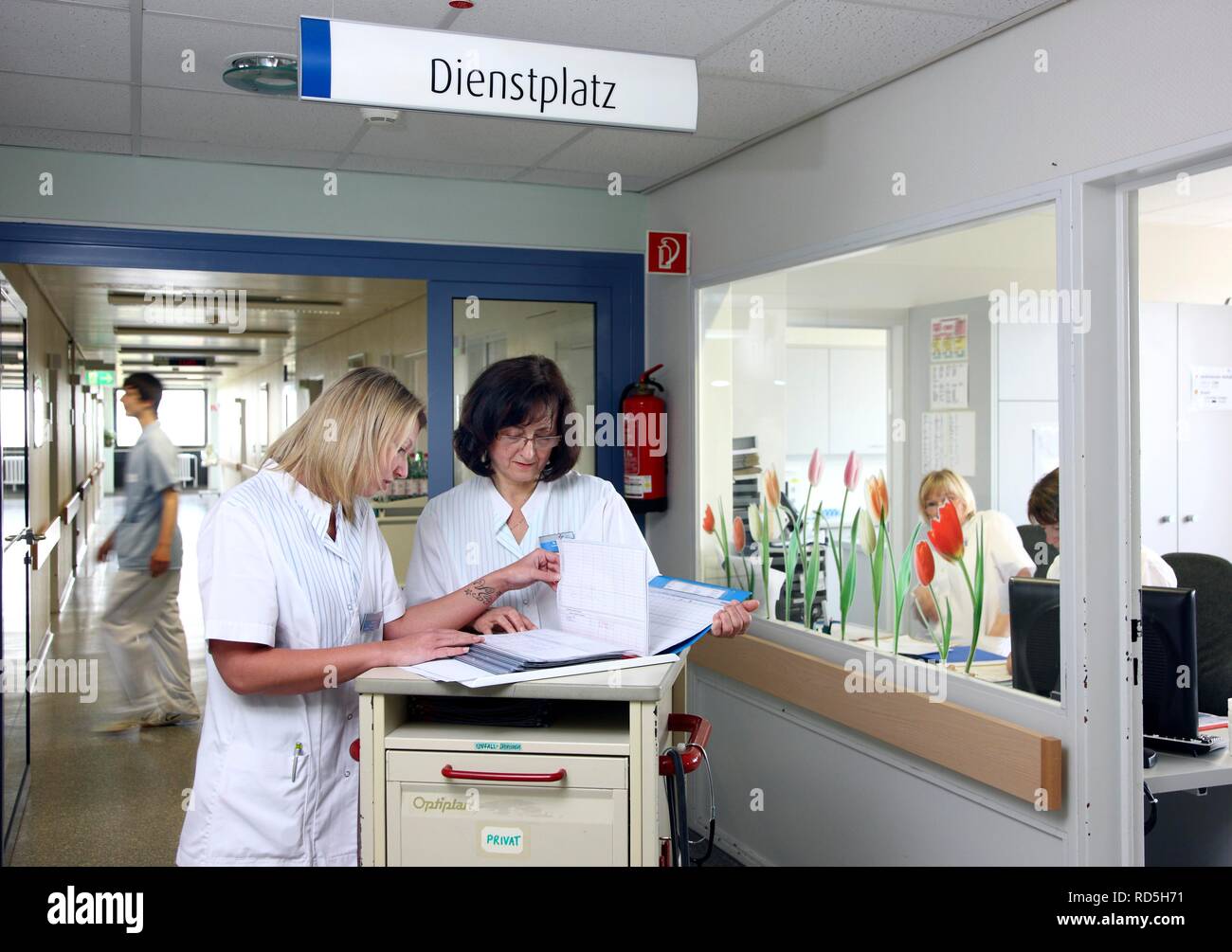Las enfermeras discutiendo los procedimientos de cuidados del paciente, la preparación de documentos para los pacientes del hospital ward, Foto de stock