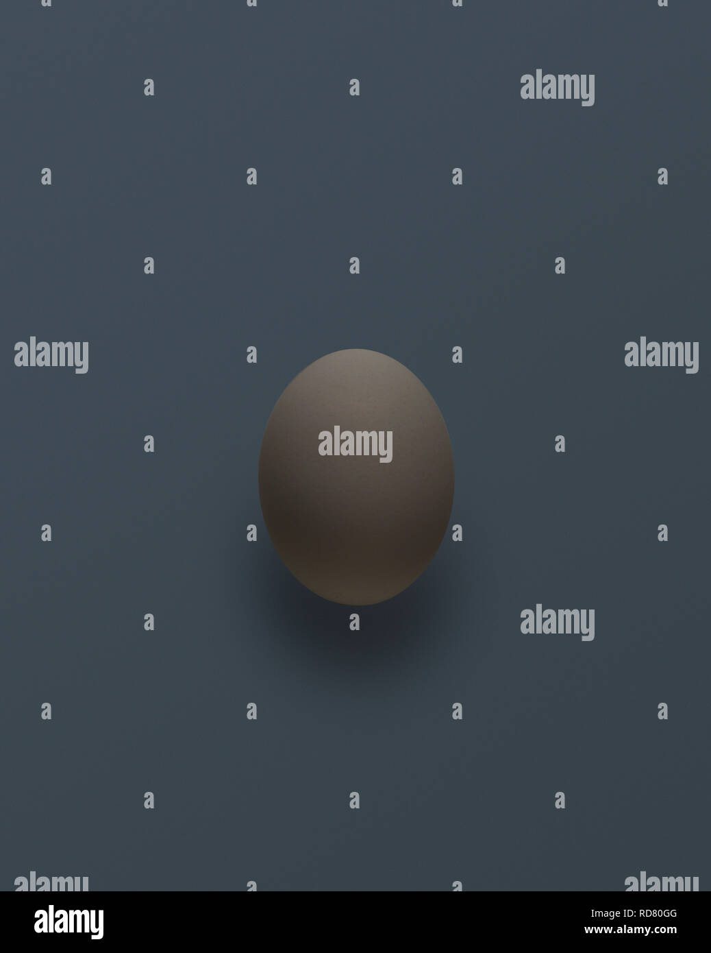 Único huevo sobre fondo oscuro, Foto de estudio Foto de stock