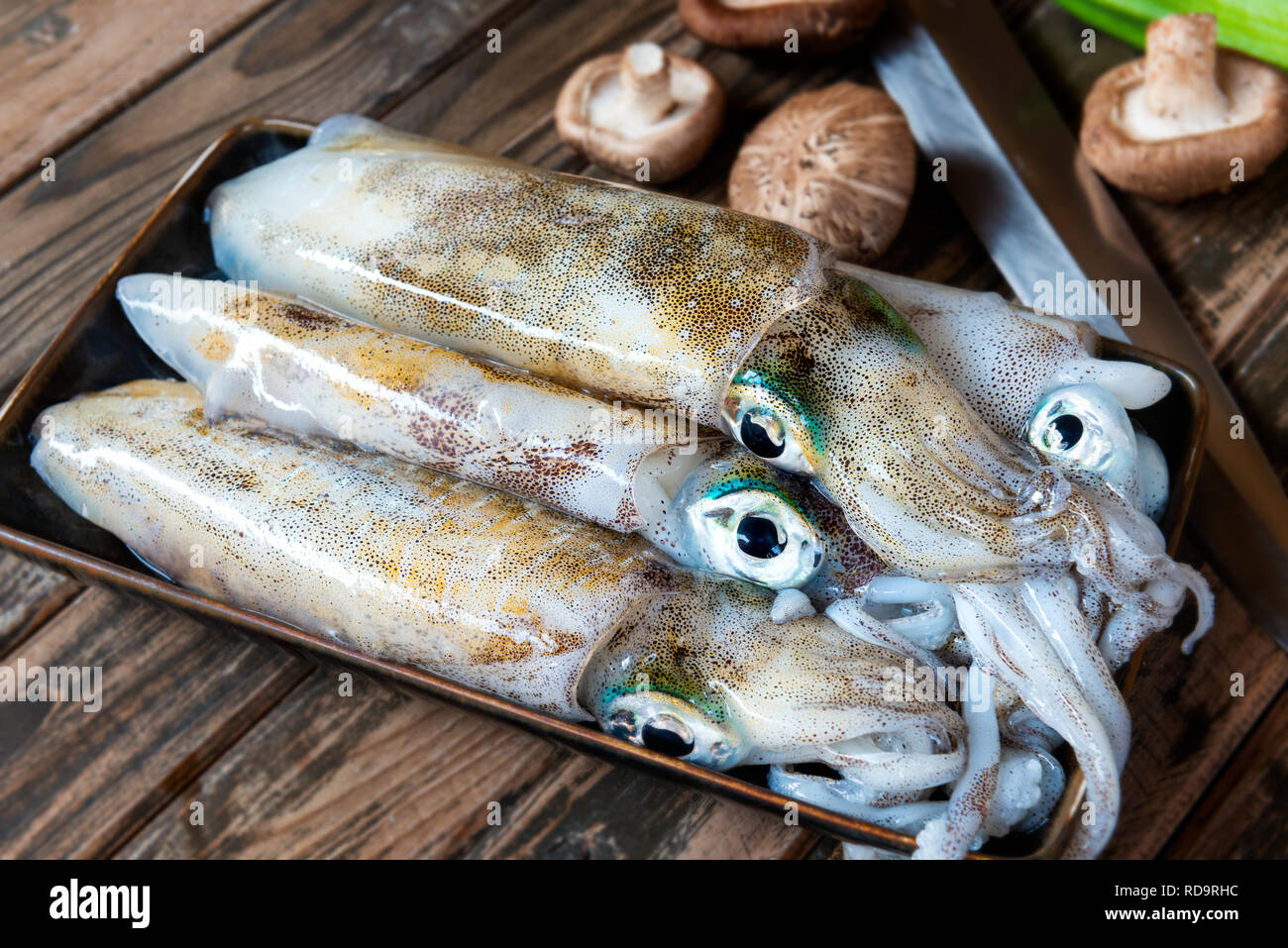 Calamares vivos y frescos del mercado de la pesca se preparan para cocinar  con iluminación interior Fotografía de stock - Alamy