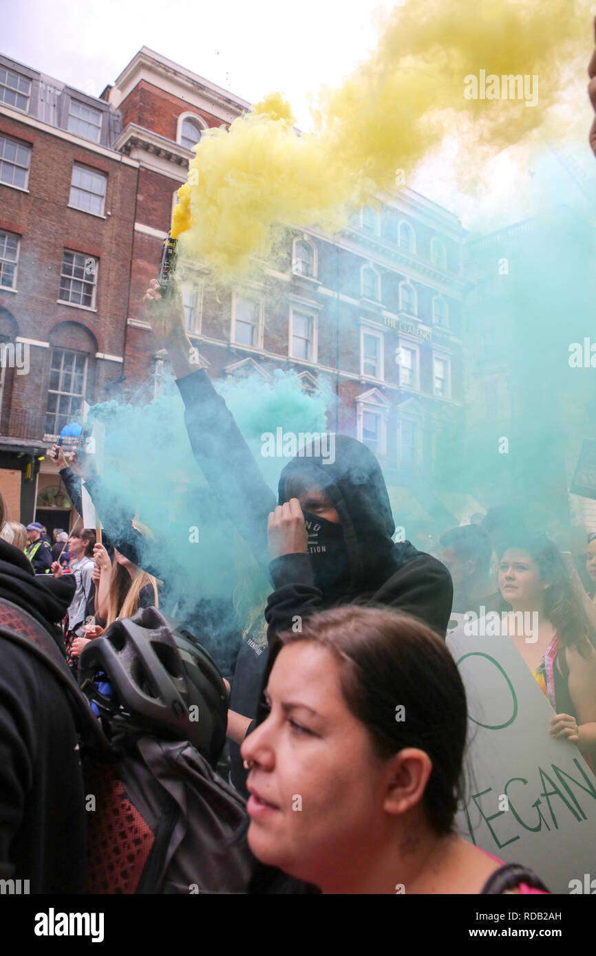 Londres, Reino Unido. El 25 de agosto de 2018 .Los derechos animales oficial de marzo de 2018 en Londres AlamyLiveNews/George Cracknell Wright Foto de stock