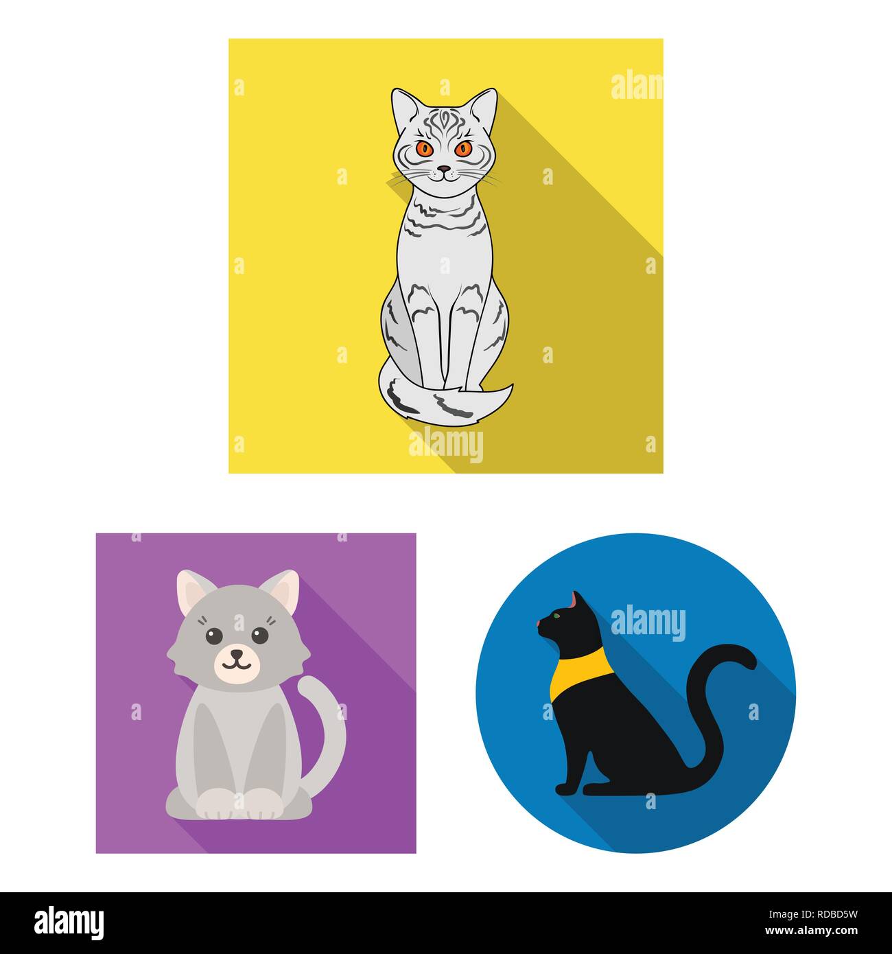 Blanca,sentado,sphinx,animal,personaje,raza,pet,sphynx,siameses