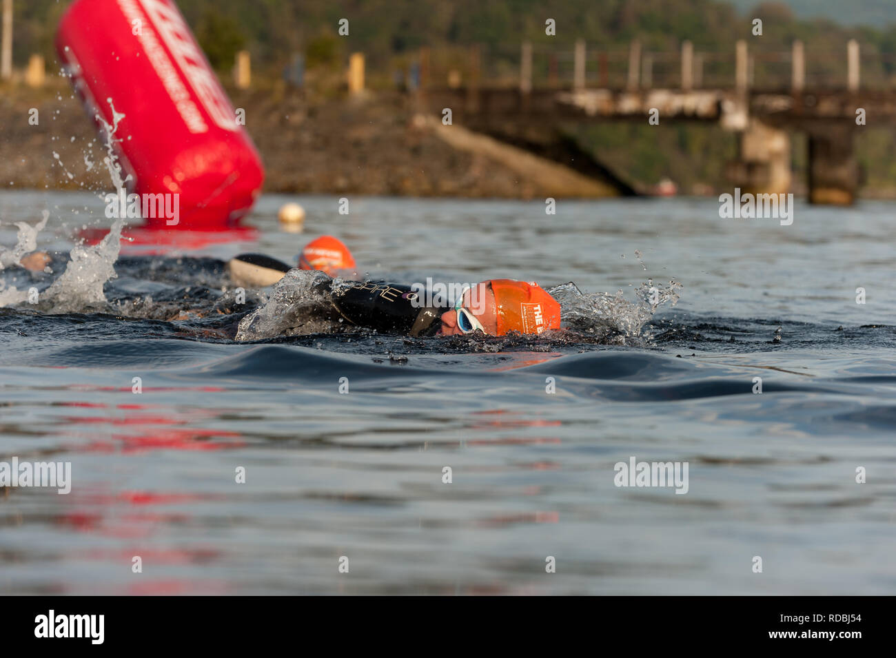Los nadadores cerca del final de la etapa de Loch Linnhe Fort William, Escocia Foto de stock
