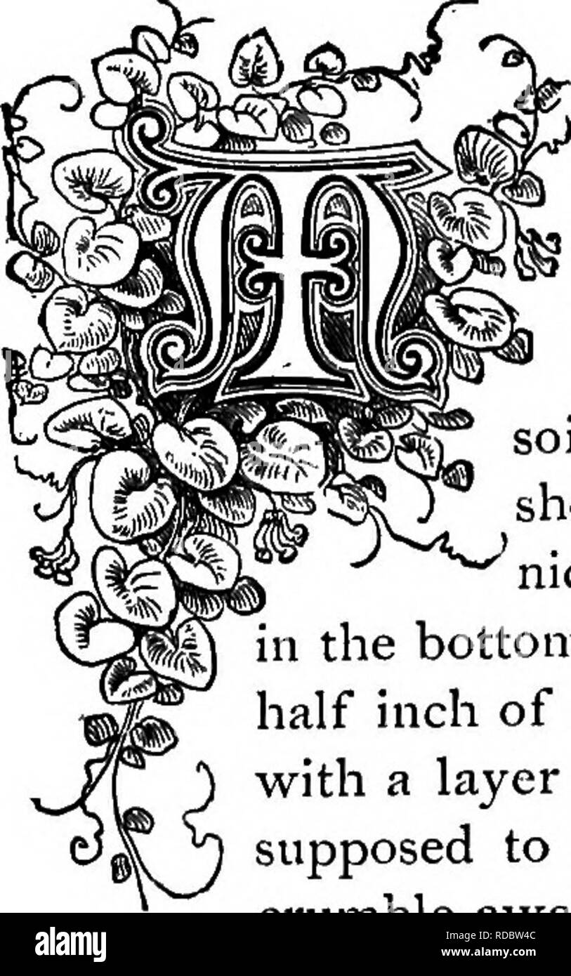 Lenguaje ornamental Imágenes de stock en blanco y negro Alamy