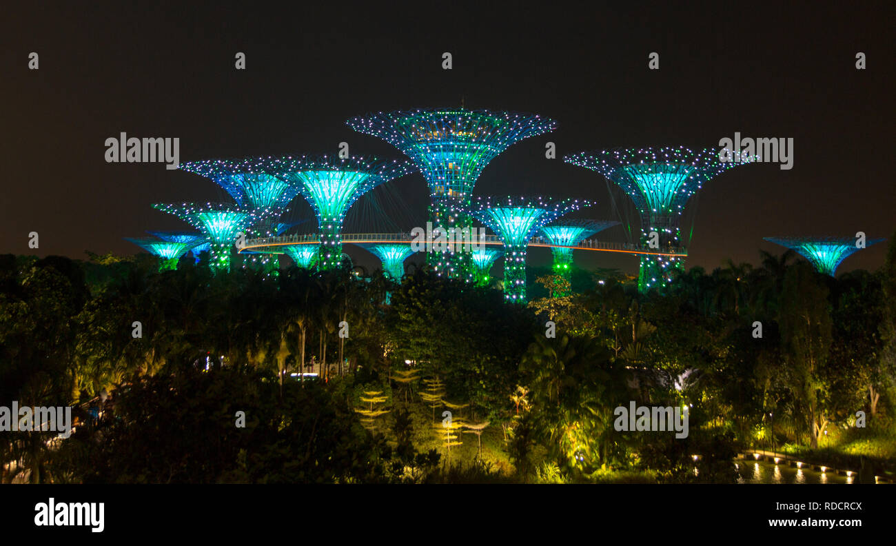 Supertree grove en la noche durante el show de luces, jardines junto a la bahía, Singapur Foto de stock