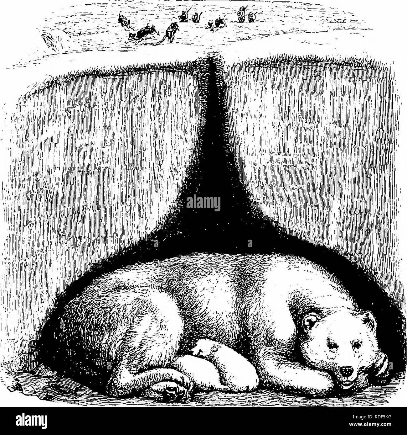 Compas Imágenes de stock en blanco y negro - Alamy Compas Imágenes de stock en blanco y negro - Alamy