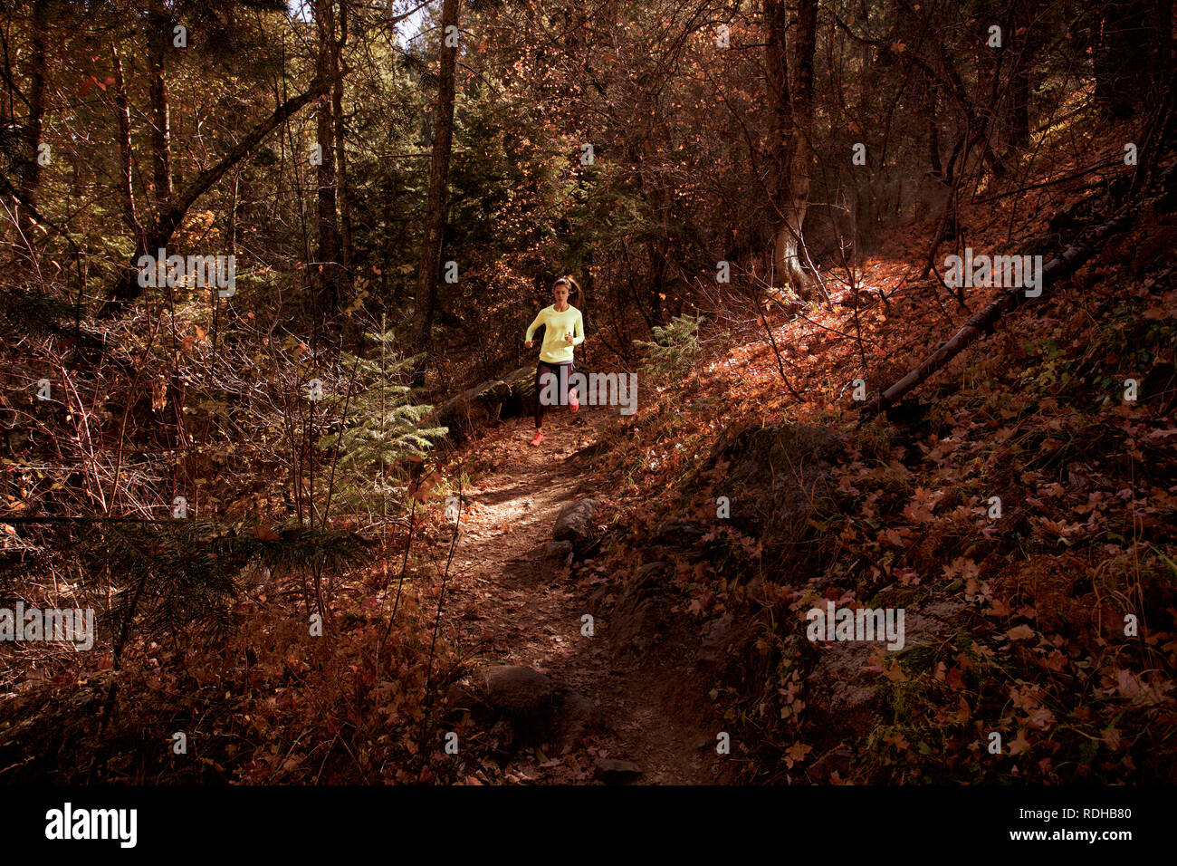 Runner en otoño Foto de stock