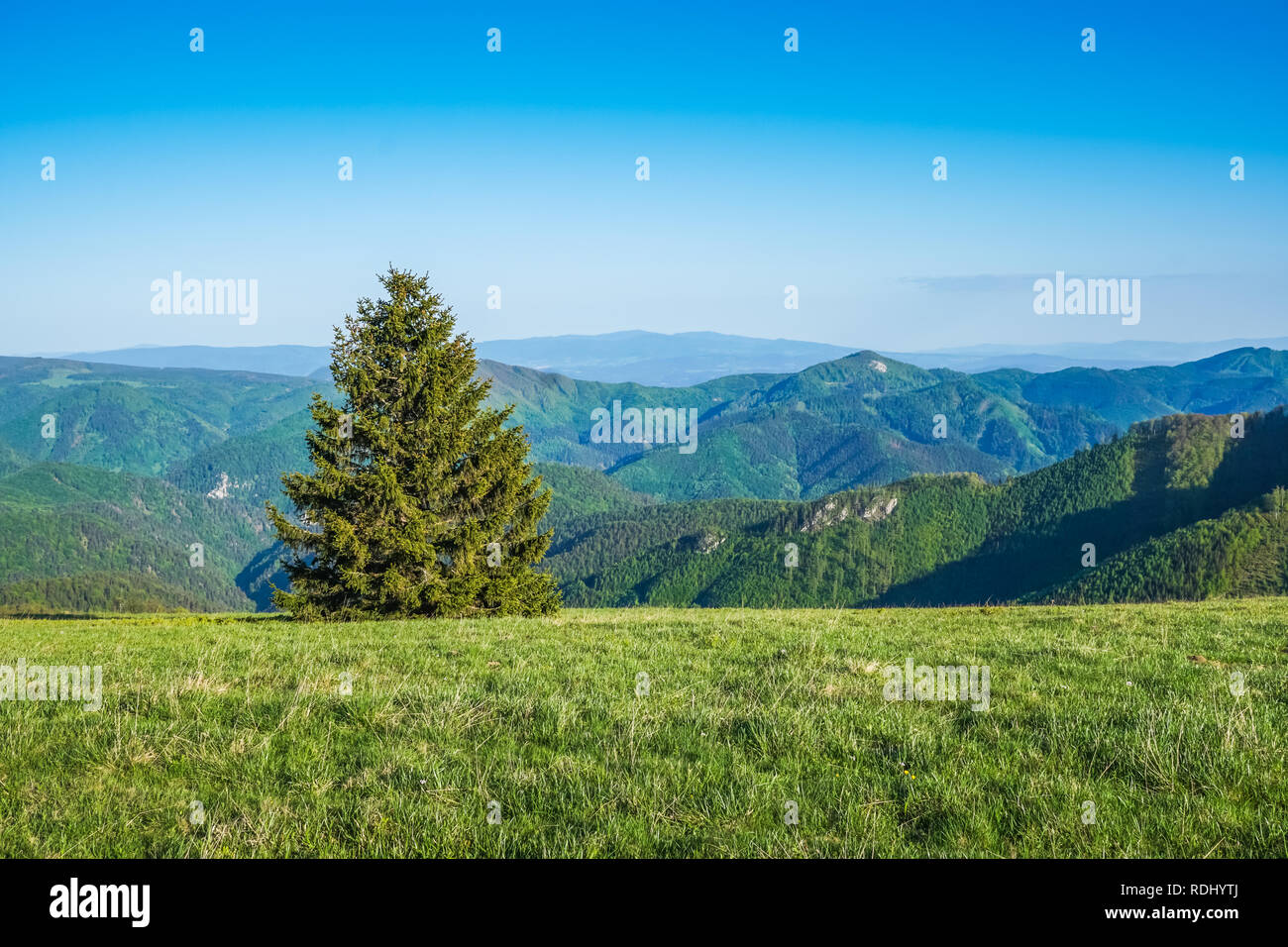 Hermosas vistas del paisaje montañoso en las montañas Fatra, Eslovaquia en un día soleado de verano. Foto de stock