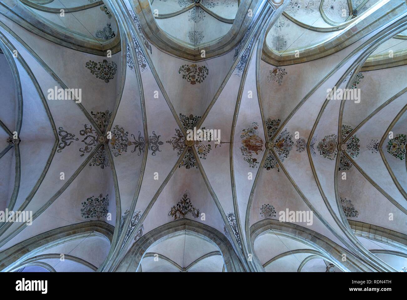 Techo pintado de la bóveda de la Iglesia de los Apóstoles, la Iglesia Gótica, Münster, Renania del Norte-Westfalia, Alemania Foto de stock