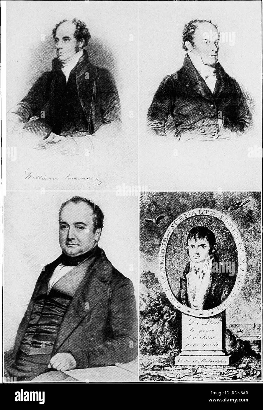 . El naturalista Audubon; una historia de su vida y de su tiempo. John James Audubon, 1785-1851; los ornitólogos. wiijjam swaixsox chari.es l. boxaparte TH("IAS XL'TTAI.L COXSTAXTIXE S. RAFIXESQL'E' SU BIOCRAPITY SWAtXSON FROJt DE ZOOT.OGISTS ; NTTTAFI, FROlvr un' en'GRAVINC ATERIA DERBV, 1s^5; Bon'Aparte FR(m un PTroTOGRAl'ir'' en posesión de >IR. RFTirVEK IIEAN'E, primero Prlir.rsIIEI) en "CASSI N'n" ; y RAFINESOFE F'RO^I mCIIARI) Er.t.SWORTII CAFE, *'U N'ESorE AFI.". Por favor tenga en cuenta que estas imágenes son extraídas de la página escaneada imágenes que podrían haber sido mejoradas digitalmente para rea Foto de stock