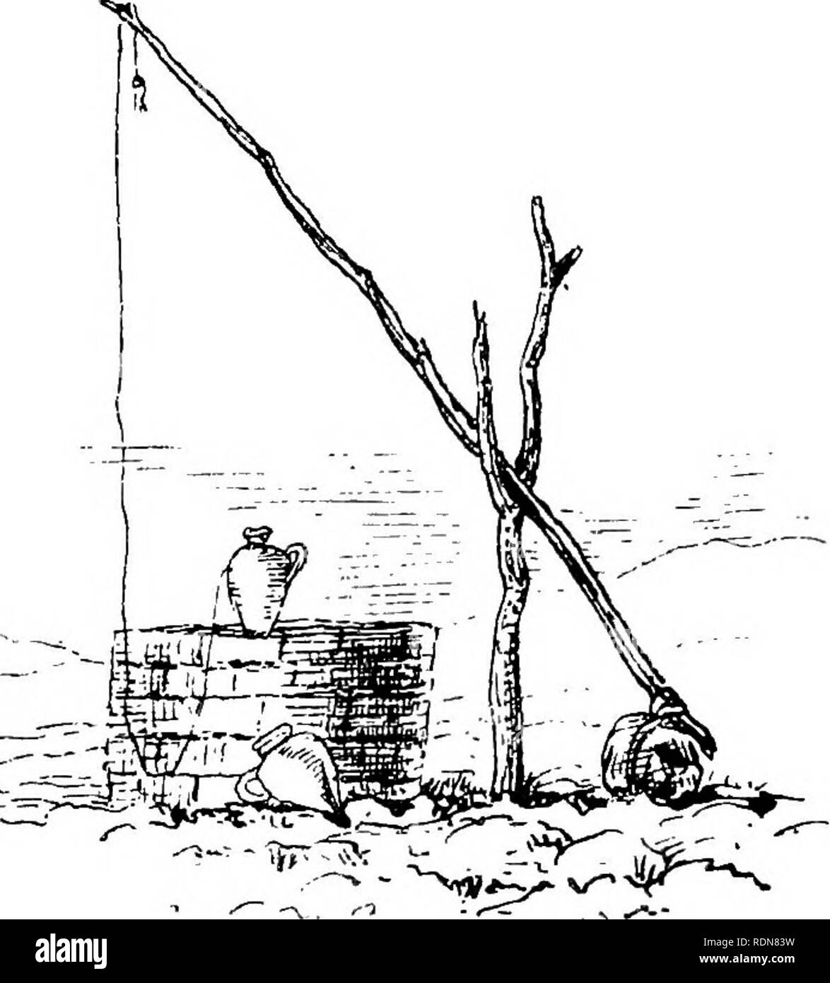 España silvestres (Espan?una agreste): los registros de deporte con rifle, varilla y pistola; historia natural y la exploración. Historia natural; la caza, la caza y las aves. El sisón. 347 juego-Bird, España silvestres (Espan?una agreste): los registros de deporte con rifle, varilla y pistola; historia natural y la exploración. Historia natural; la caza, la caza y las aves. El sisón. 347 juego-Bird,