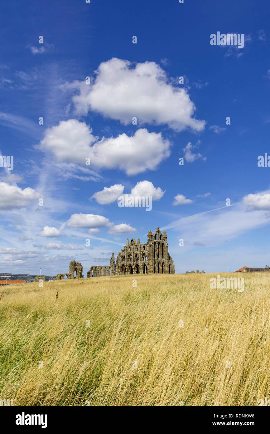 La ruina de la Abadía de Whitby, Inglaterra, Reino Unido Foto de stock