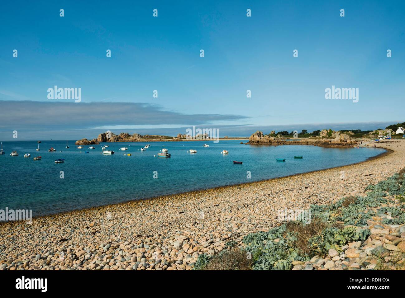 La playa rocosa, la Gouffre, Plougrescant, Côte de Granit Rose, Cotes d'Armor, Bretaña, Francia Foto de stock