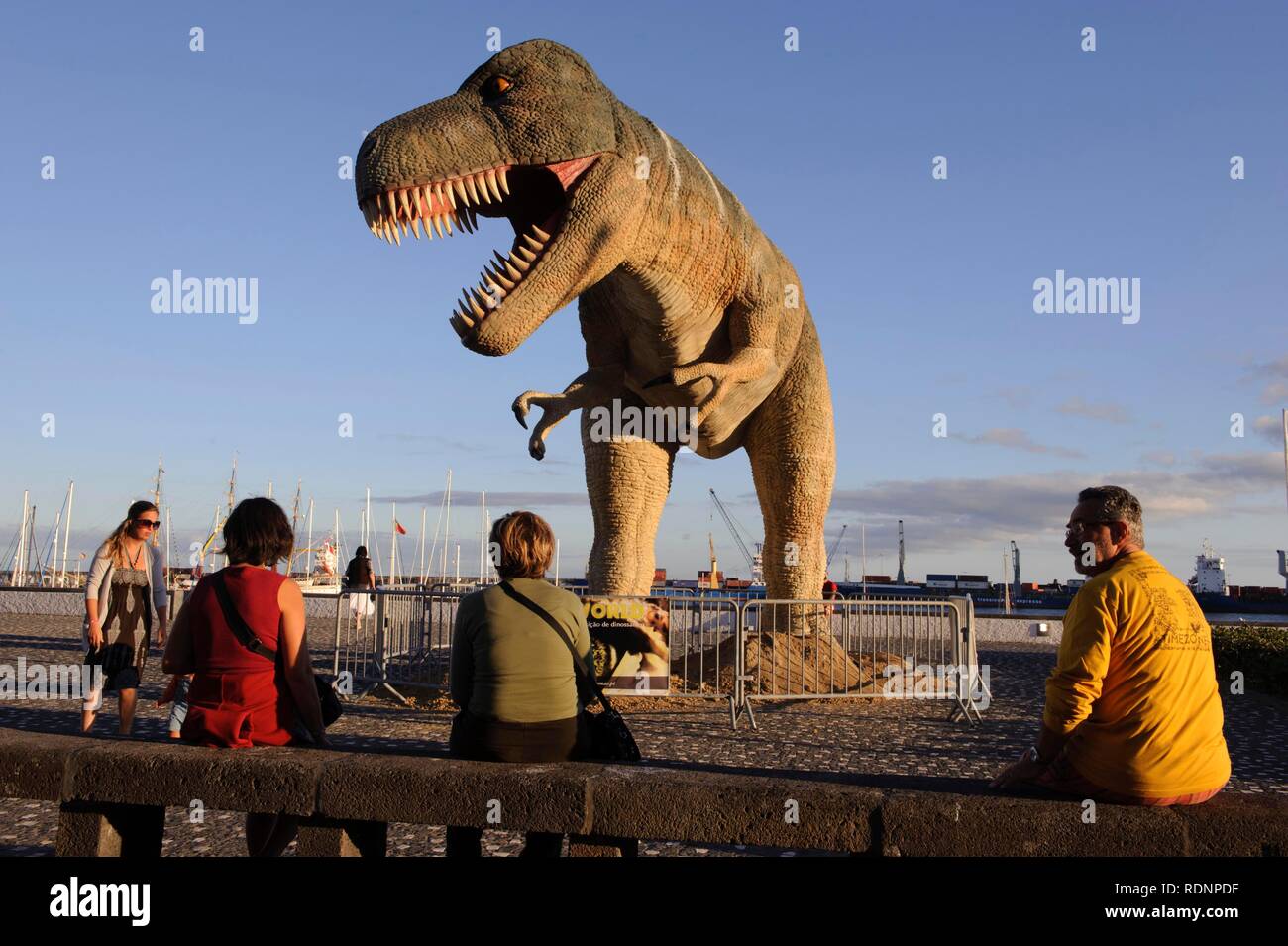 Dinosaur portugal fotografías e imágenes de alta resolución - Alamy Dinosaur portugal fotografías e imágenes de alta resolución - Alamy