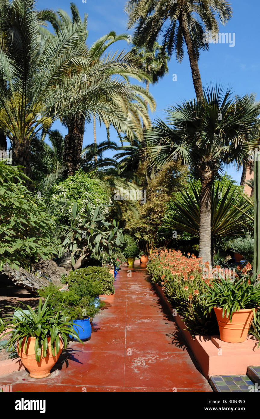Camino o sendero rojo en el jardin Majorelle o jardín botánico o Marrakech Marrakech Marruecos Foto de stock