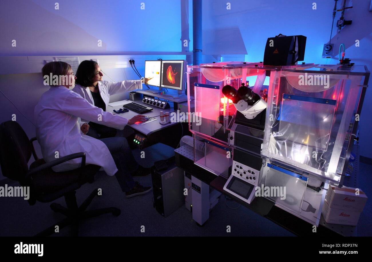La biotecnología, microscopio de fluorescencia, una versión especial de un microscopio de luz que pueden visualizar etiquetado fluorescente Foto de stock