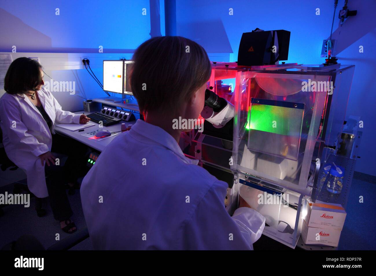 La biotecnología, microscopio de fluorescencia, una versión especial de un microscopio de luz que pueden visualizar etiquetado fluorescente Foto de stock