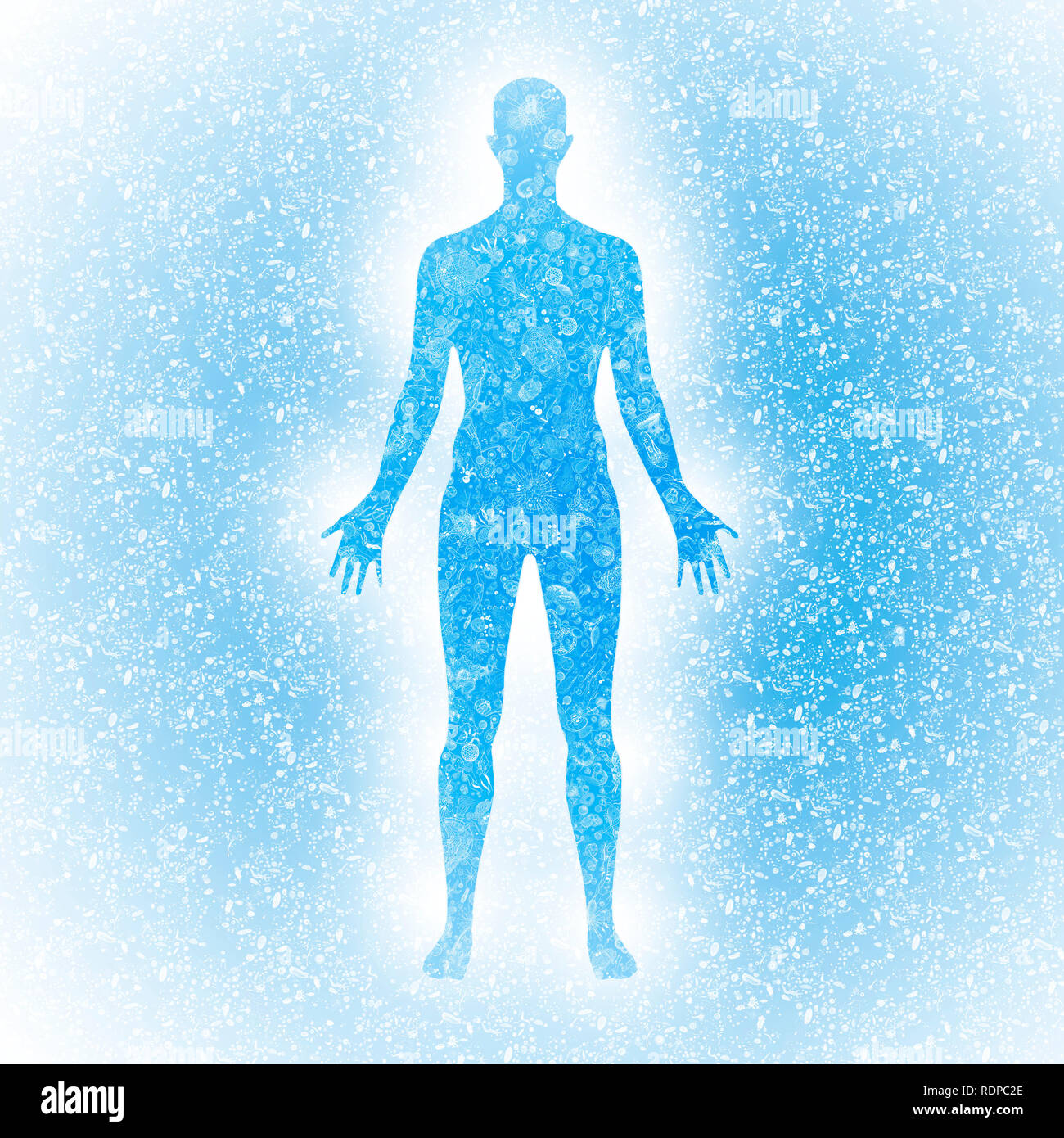 Biomas del cuerpo humano, la ilustración. Foto de stock
