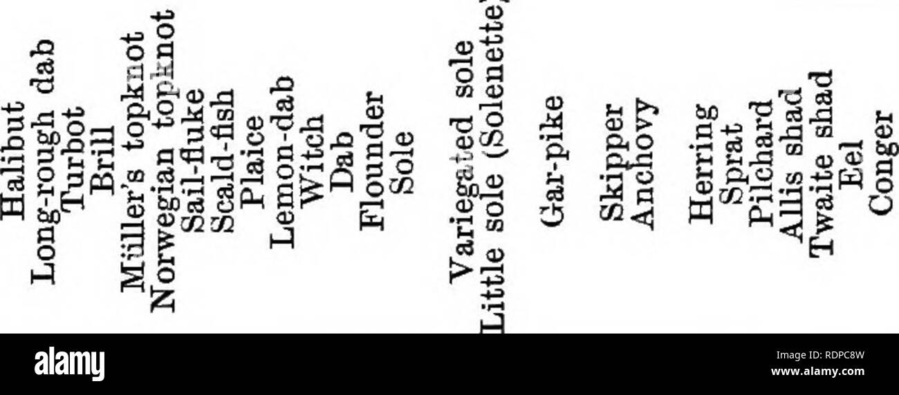 H E A T Fotos E Imagenes De Stock Pagina 356 Alamy