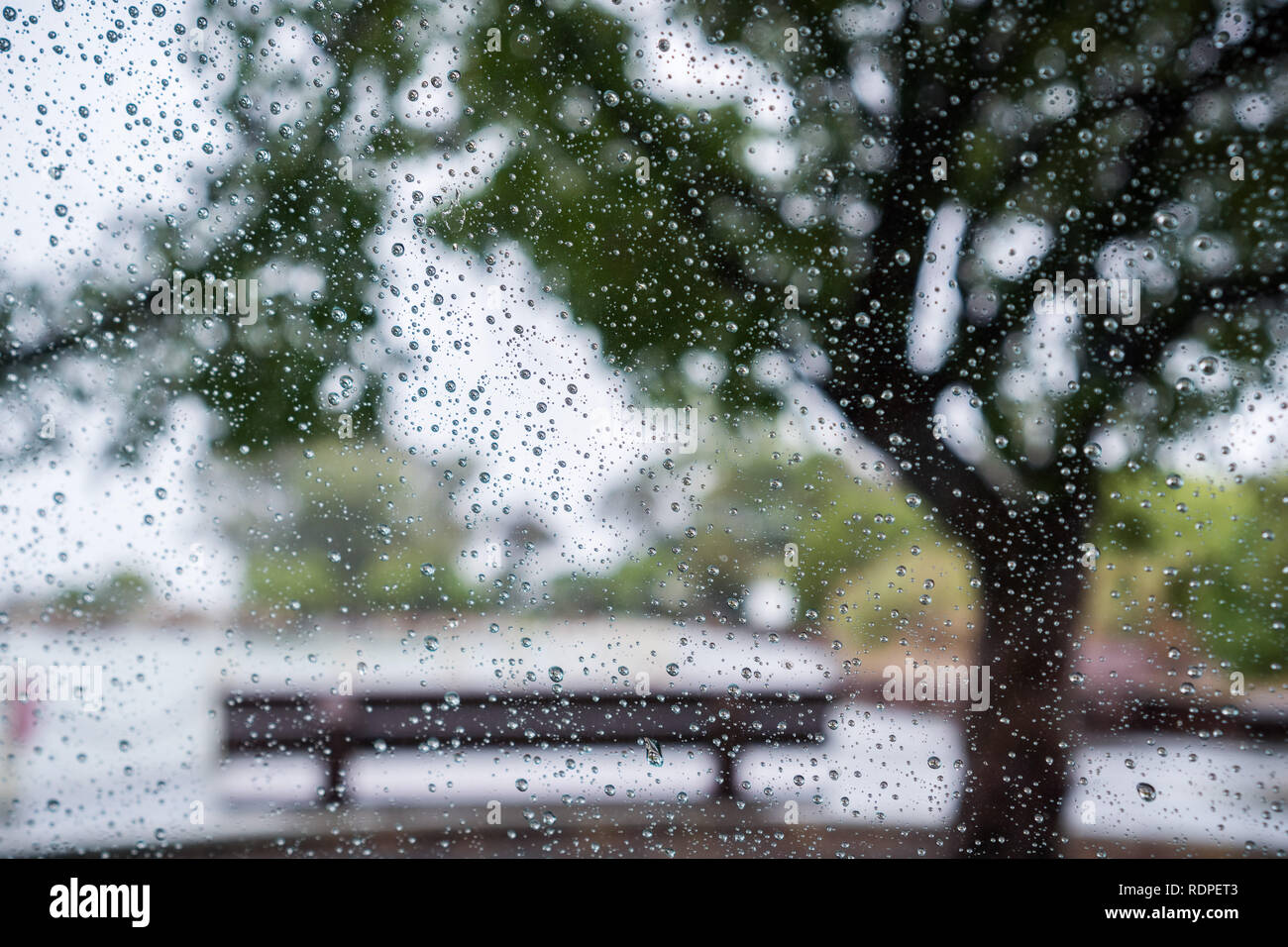 Las gotas de lluvia en el parabrisas en un día lluvioso; banco situado bajo  los árboles en la orilla de un lago en el fondo; el área de la bahía de San