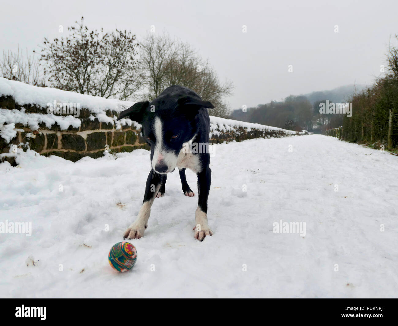 clima en piedras negras