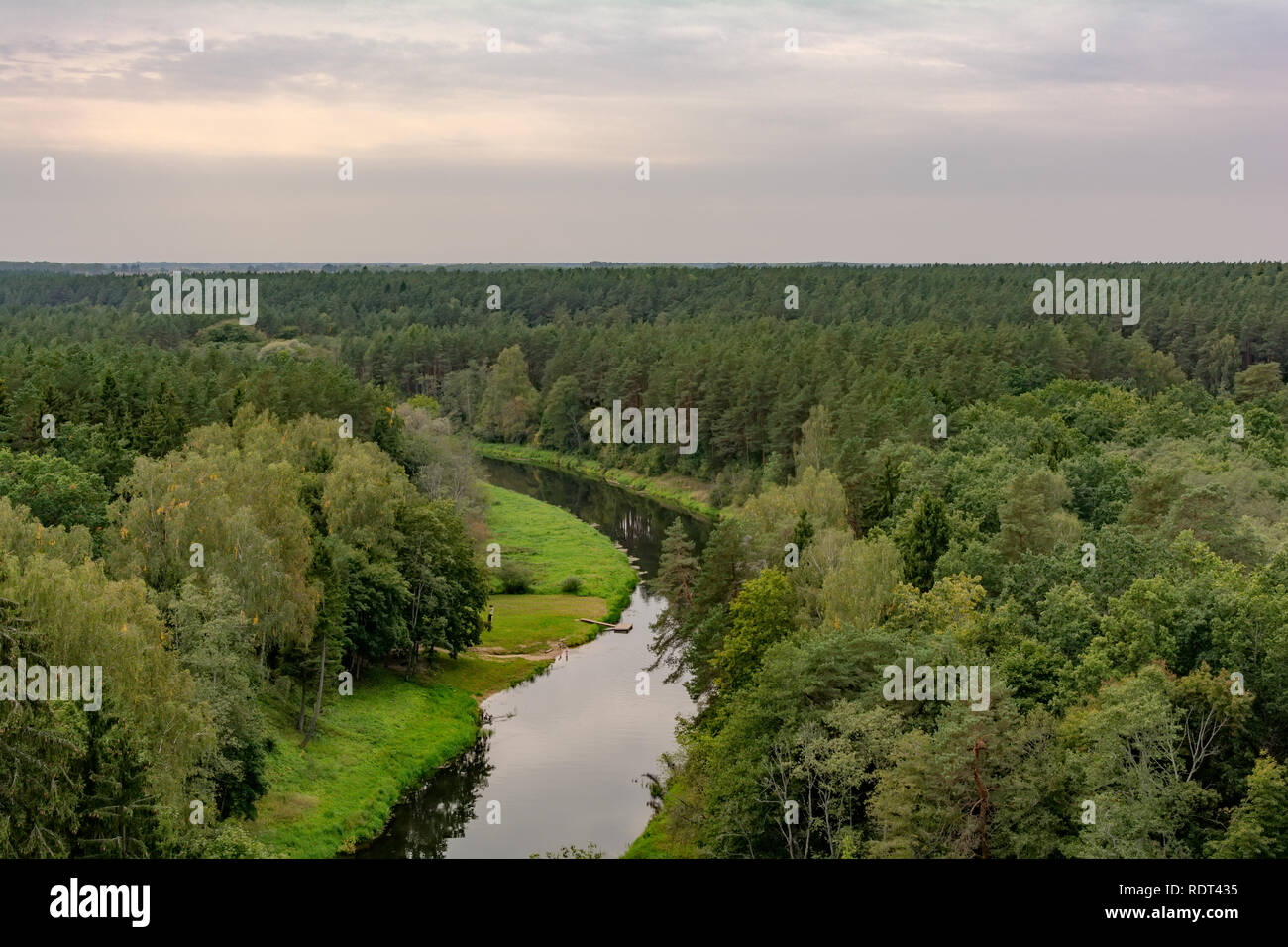 A la vista de las copas de los árboles de pino y serpenteante río Sventoji desde la atalaya de la Treetop Sendero en Anyksciai, Lituania. Foto de stock