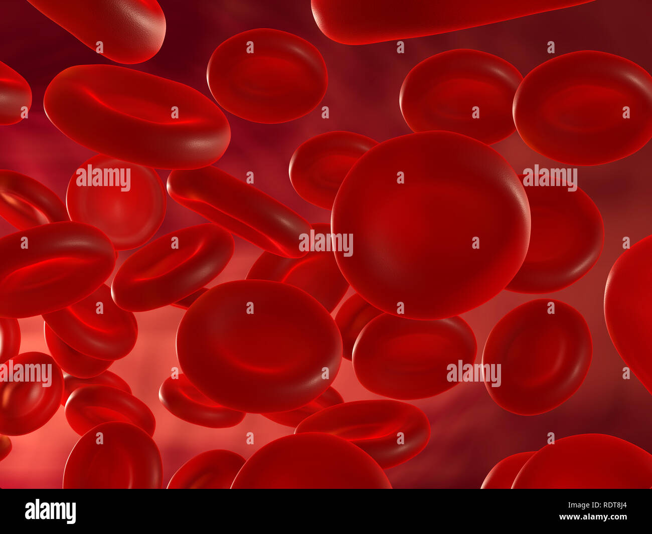 Células de sangre rojas Foto de stock