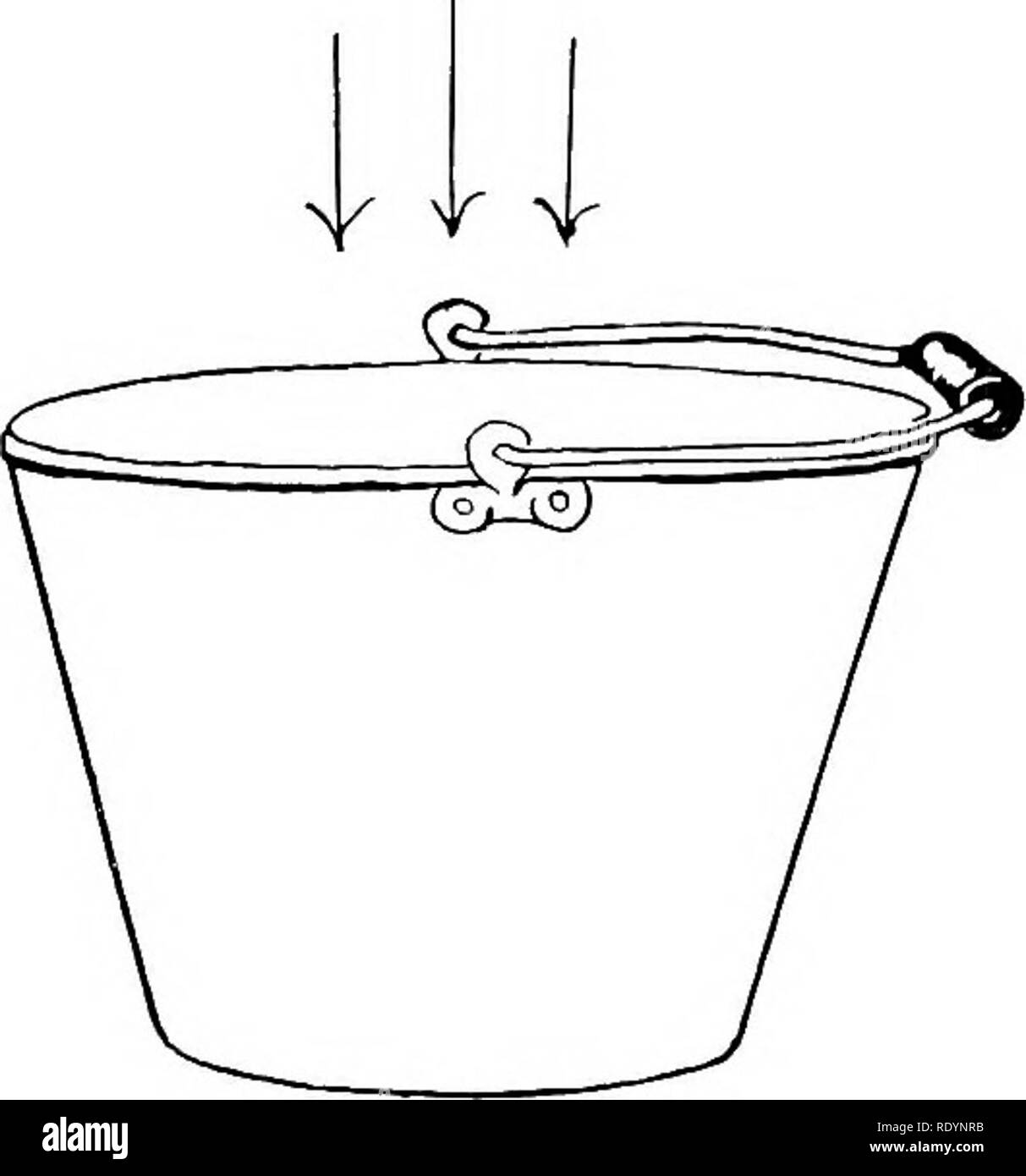 microorganismos en la leche