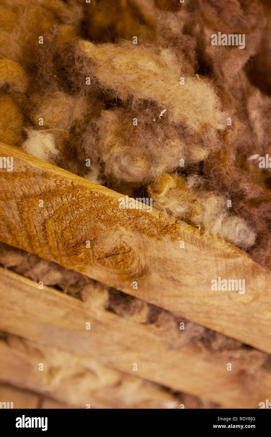 Kinchega Woolshed, Menindee, New South Wales, Australia Foto de stock