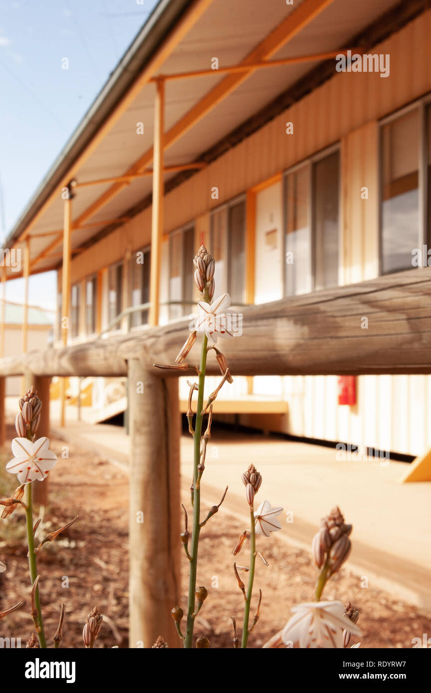 Kinchega Woolshed, Menindee, New South Wales, Australia Foto de stock