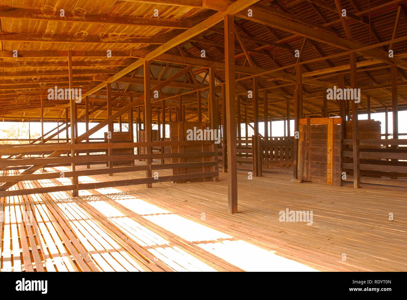 Kinchega Woolshed, Menindee, New South Wales, Australia Foto de stock