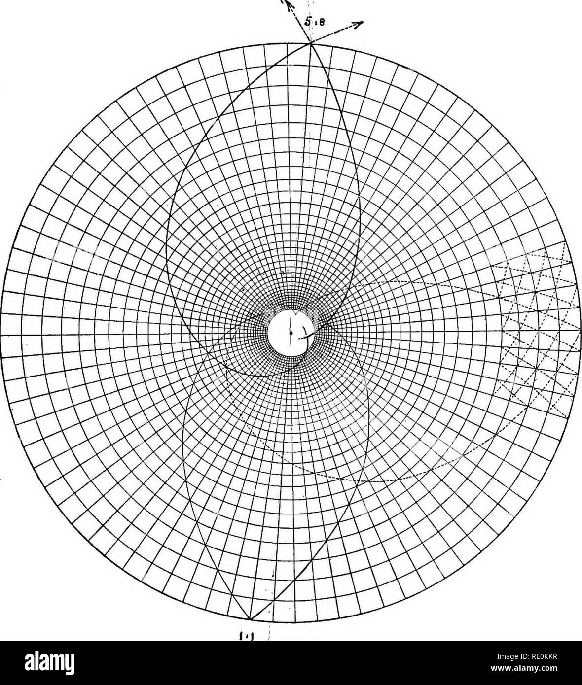 En la relación de phyllotaxis a leyes mecánicas. Phyllotaxis; las hojas. Los principios de Phyllotaxis. 237 No obstante, pequeñas, en las que tal distribución matemática de En la relación de phyllotaxis a leyes mecánicas. Phyllotaxis; las hojas. Los principios de Phyllotaxis. 237 No obstante, pequeñas, en las que tal distribución matemática de