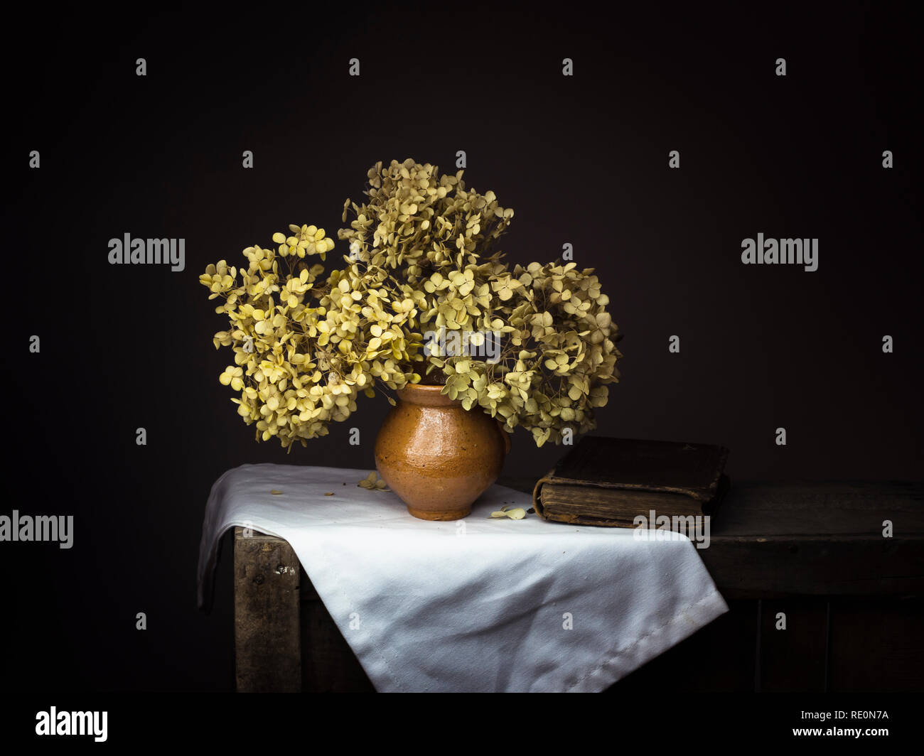 Foto de estilo claroscuro dramático hydrangea flores secas con viejo libro sobre fondo oscuro. Melancolía bodegón con espacio de copia. Foto de stock