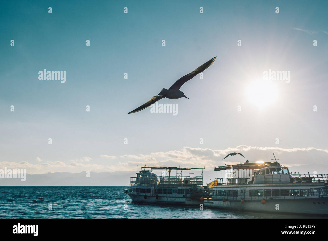 Gaviota volando en el cielo azul y los buques a la vista Foto de stock