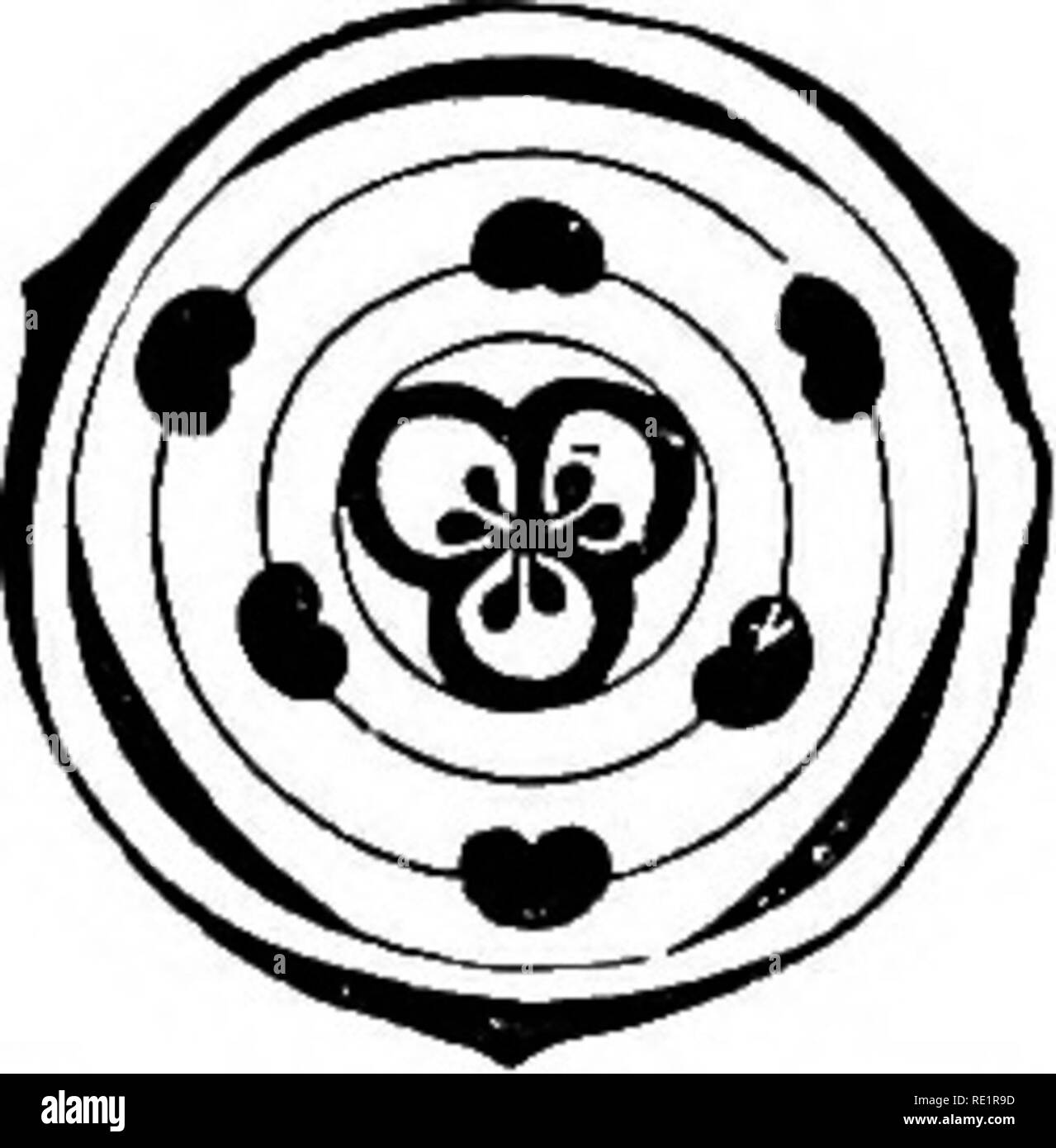 Un Manual De Botanica De India La Botanica Io6 Petalos Morfologia Hypogynous Gamopetalous Uno De Una Espira Droecium Con Cinco Estambres Libres Y Epipetalous Y 1 Verticilos De Gineceo Con Dos Un Manual De Botanica De India La Botanica Io6 Petalos Morfologia Hypogynous Gamopetalous Uno De Una Espira Droecium Con Cinco Estambres Libres Y Epipetalous Y 1 Verticilos De Gineceo Con Dos