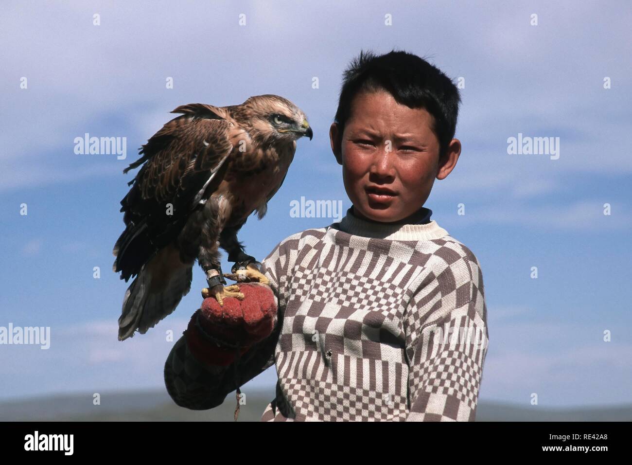 Jóvenes con un kazajo falcon (Falco), Golden Eagle Festival, Bayan Oelgii, montañas de Altai, Mongolia, Asia Foto de stock