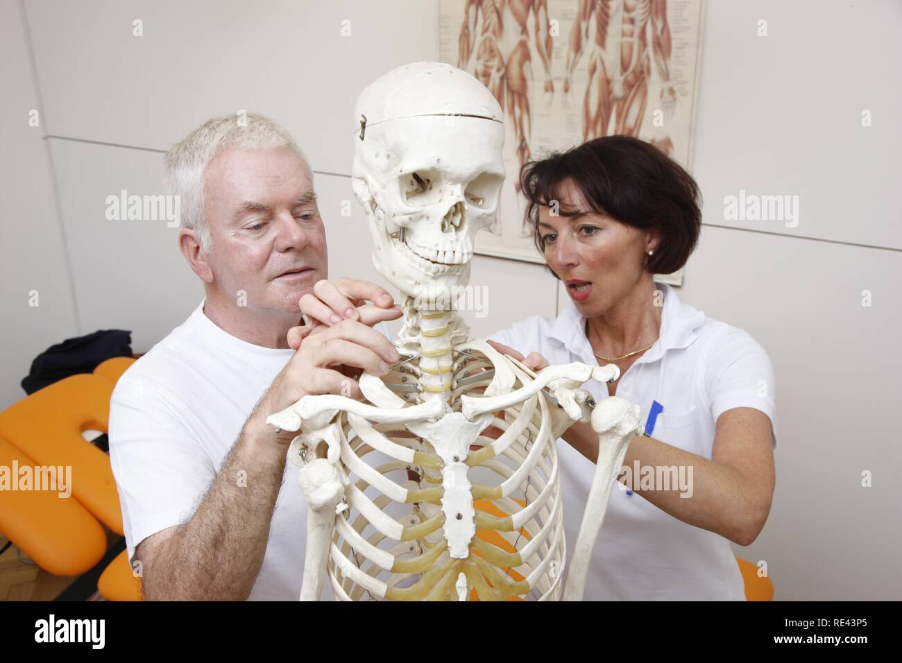 Terapeuta explicando a un paciente la base anatómica para terapia física, basada en un esqueleto, un departamento de fisioterapia Foto de stock