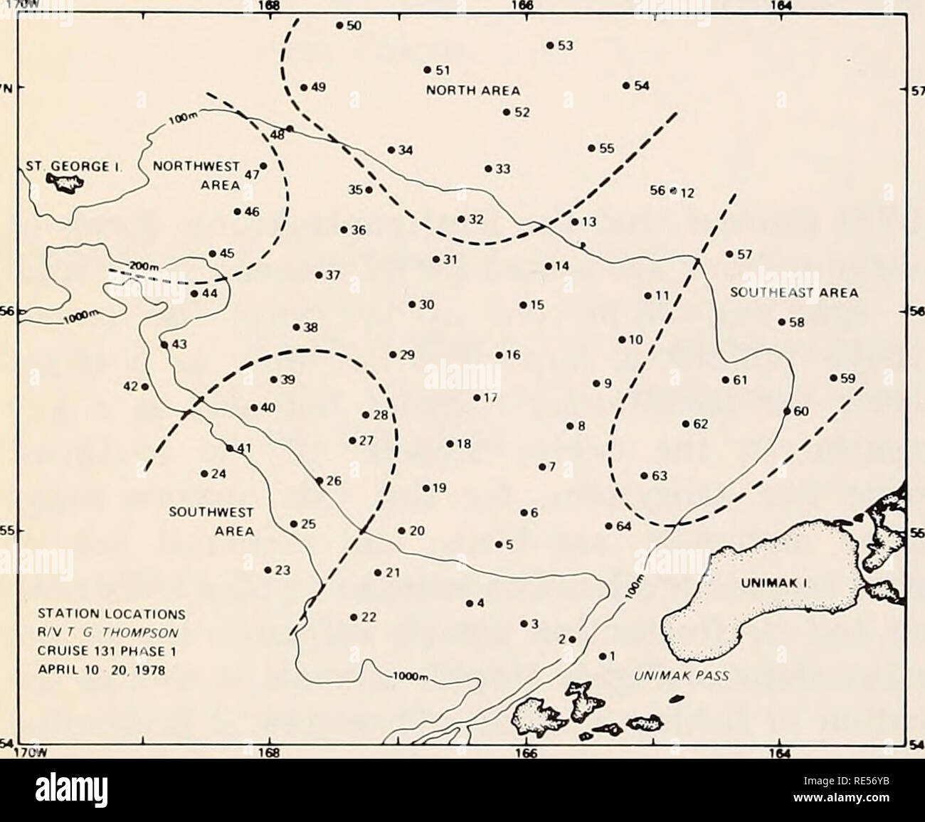. El Mar de Bering Oriental estante: oceanografía y recursos / editado por Donald W. Hood y John A. Calder. La oceanografía del Mar de Bering. 994 ecología de plancton el patrón de distribución de la lucioperca americana pollock huevos y describe las diferencias estacionales y geográficas en tamaño de huevo en el sureste del Mar de Bering. Materiales y métodos área de estudio y la temporada lucioperca americana pollock los huevos fueron recolectados del 10 al 29 de abril de 1978 durante el crucero por el Mar de Bering al sureste de RV Thomas G. Thompson. El área de estudio fue de aproximadamente 370 X 370 km entre las latitudes de 54°30'N y 57°20'N y entre las longitudes de 169°30'W Foto de stock