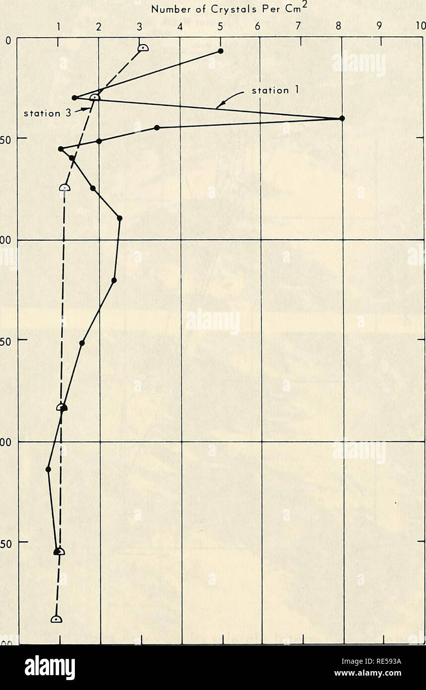 Estudios Cristalograficos Del Hielo Marino En El Estrecho Mcmurdo En La Antartida El Mar De Hielo Estudios Cristalograficos Del Hielo Marino En El Estrecho Mcmurdo En La Antartida El Mar De Hielo